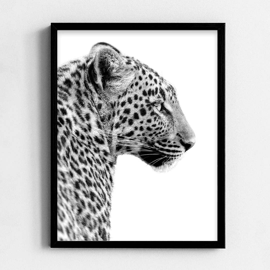 Tiger Frame
