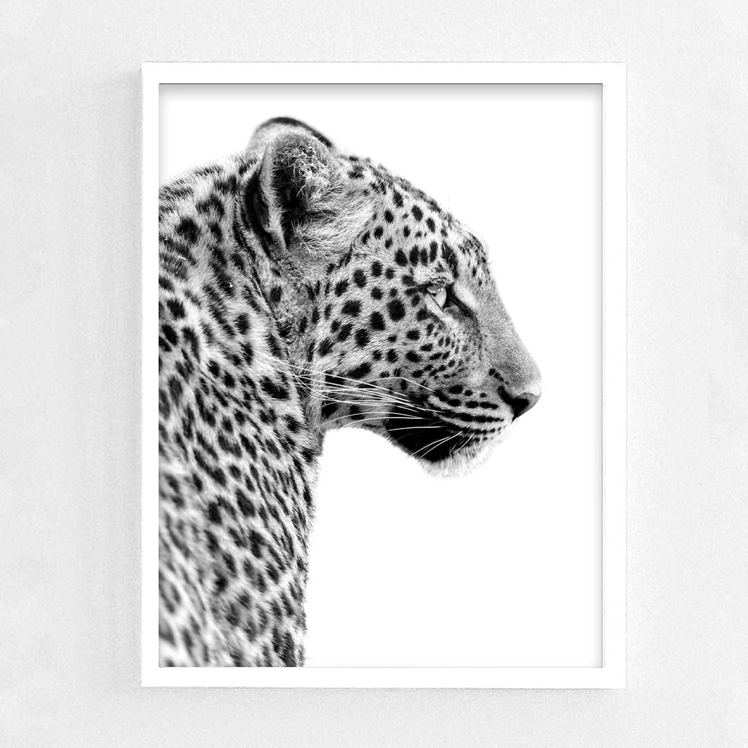 Tiger Frame