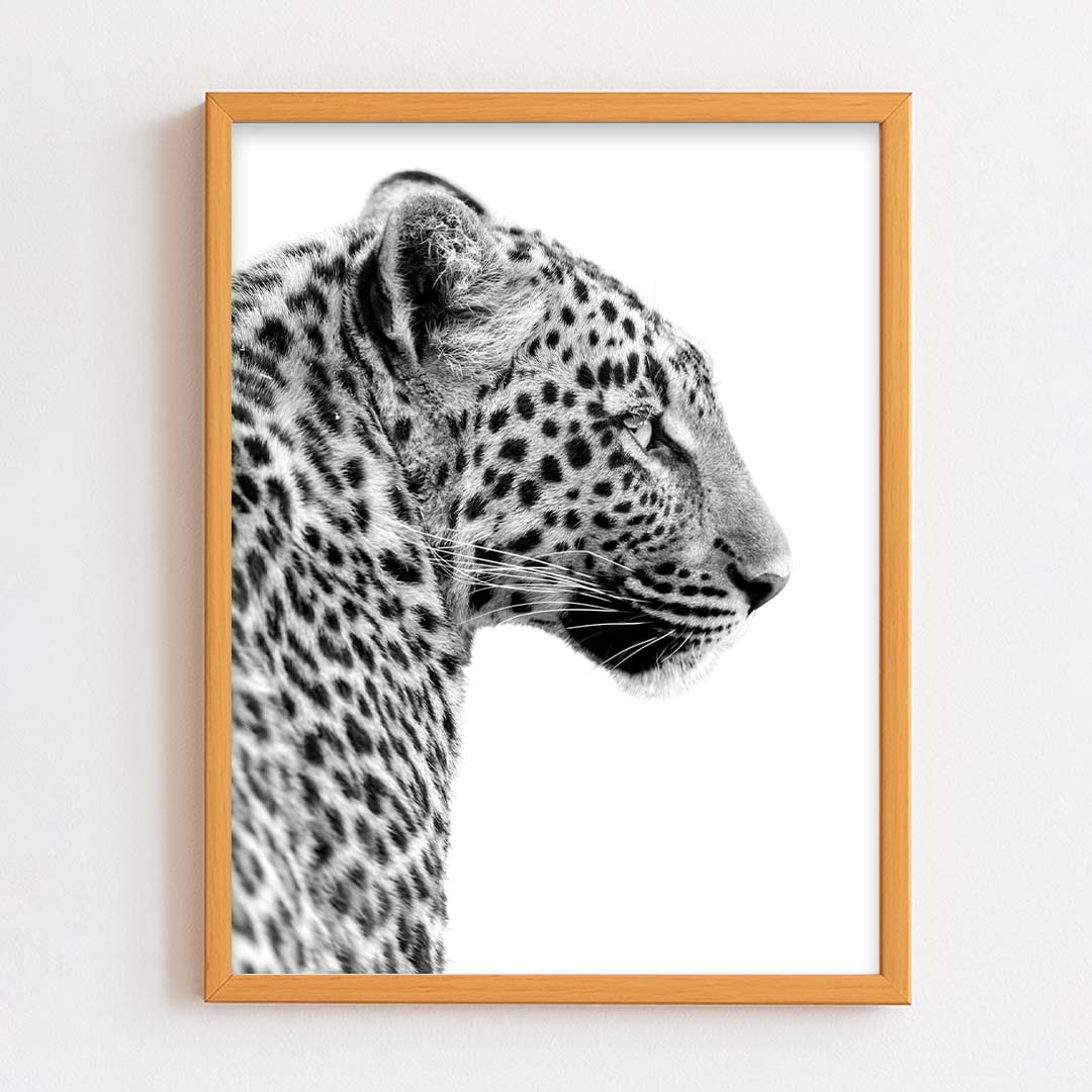 Tiger Frame