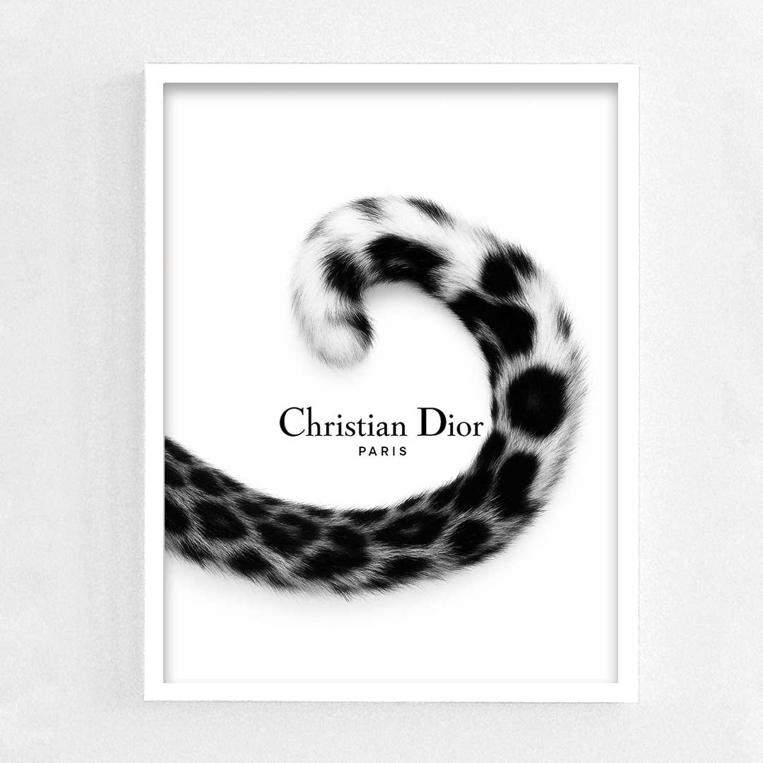 Christian Dior Frame